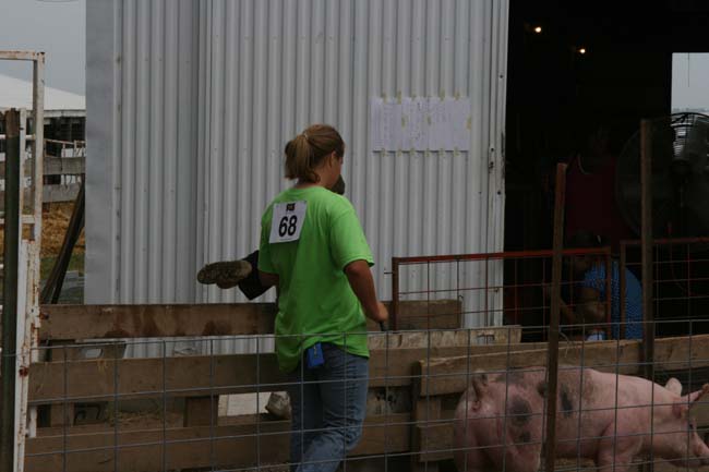 A quick trip back out with blue