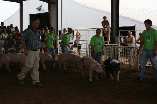 Fighting for the judge's attention