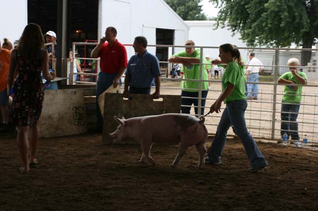 She looks like an expert