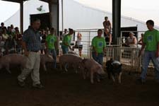 Fighting for the judge's attention