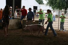 She looks like an expert