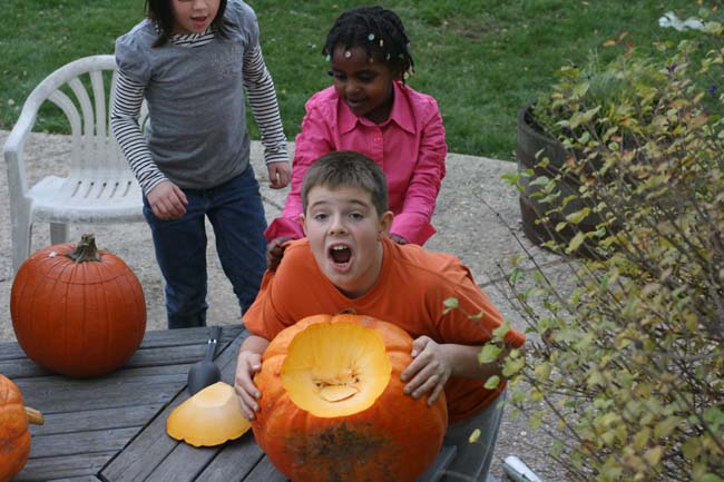 This pumpkin has no middle